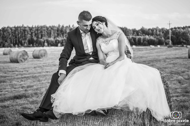 fotografia ślubna nisko (3)